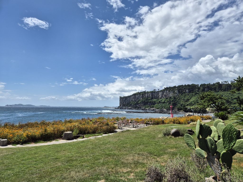 막내직원이 법인카드로 장봤음 | 인스티즈