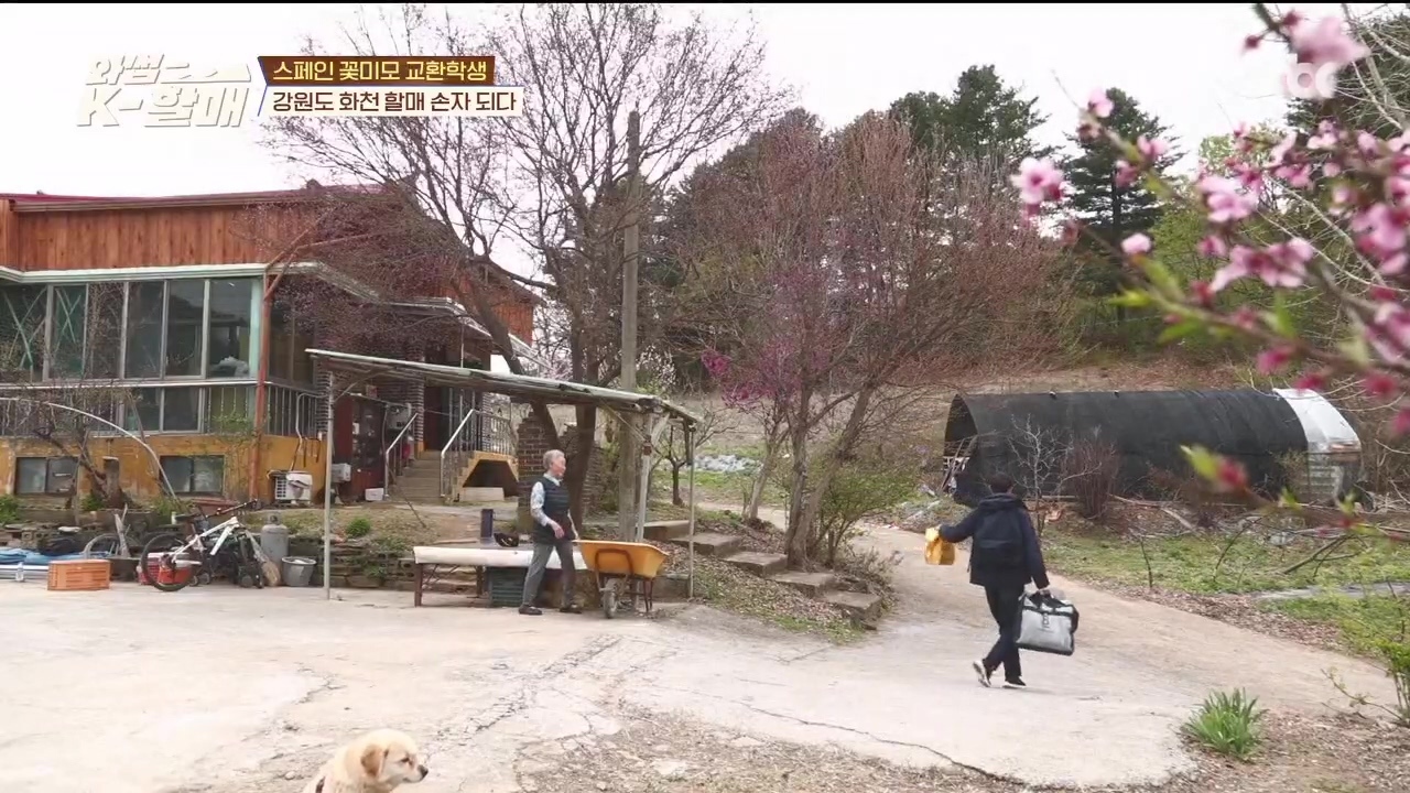 [와썹k할매] 외국인에게 제대로 플렉스하며 챙겨주는 k-할매 | 인스티즈