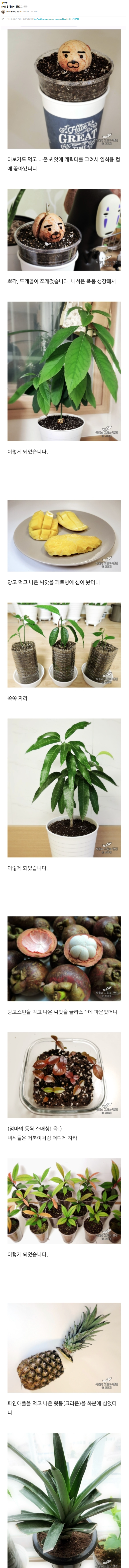 손대면 쑥쑥 키우는 사람들 | 인스티즈