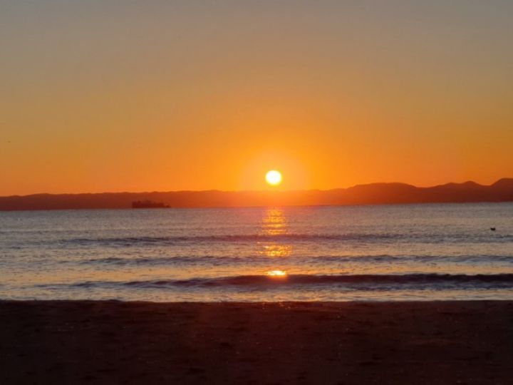 [김영민 칼럼] 새해에 행복해지겠다는 계획은 없다 | 인스티즈
