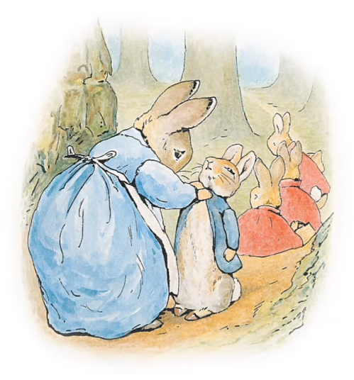 이런 느낌의 삽화가 좋아 | 인스티즈