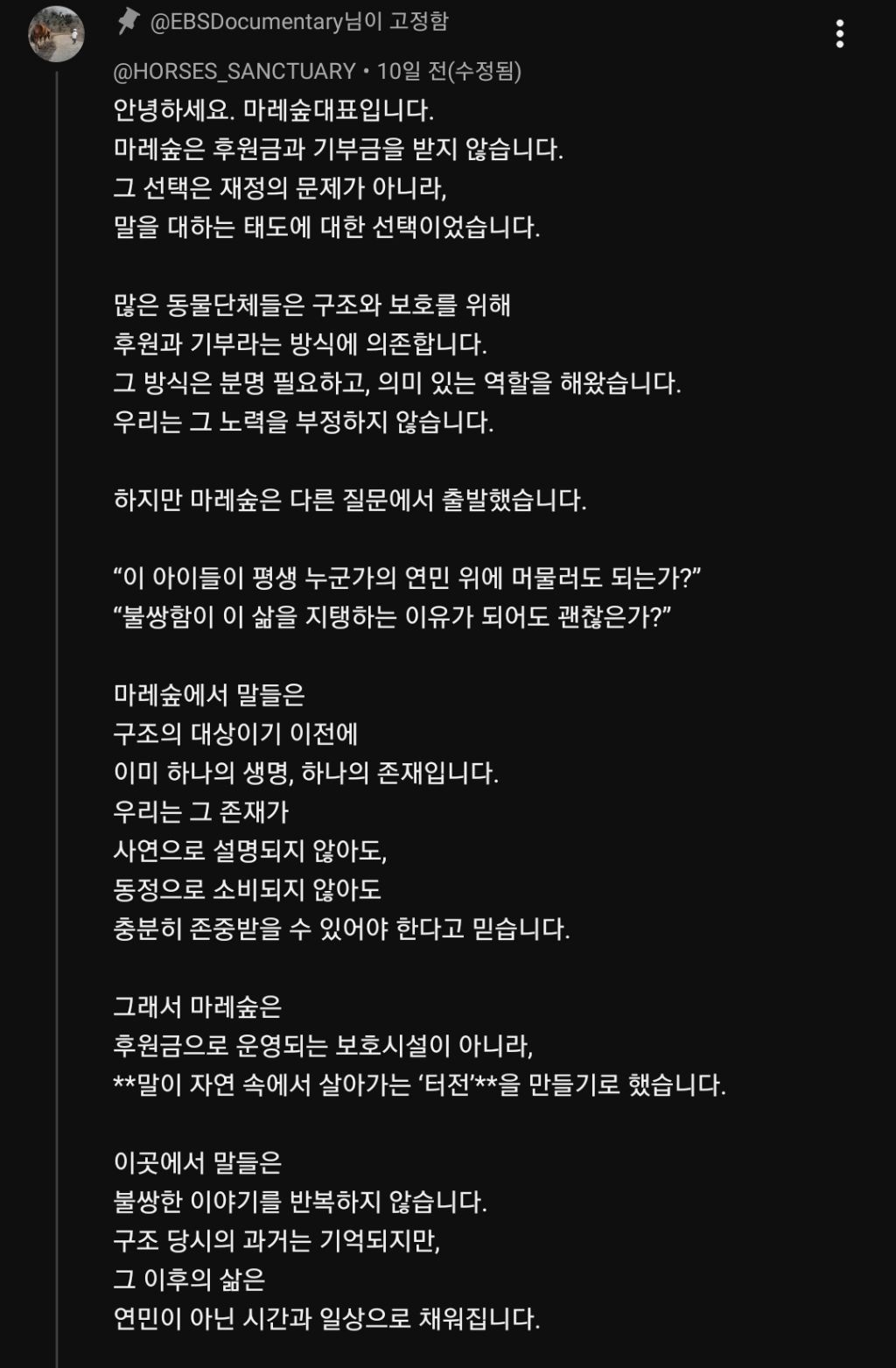 은퇴 경주마 60마리를 데려와 보호하는 제주 생츄어리 말의숲 | 인스티즈