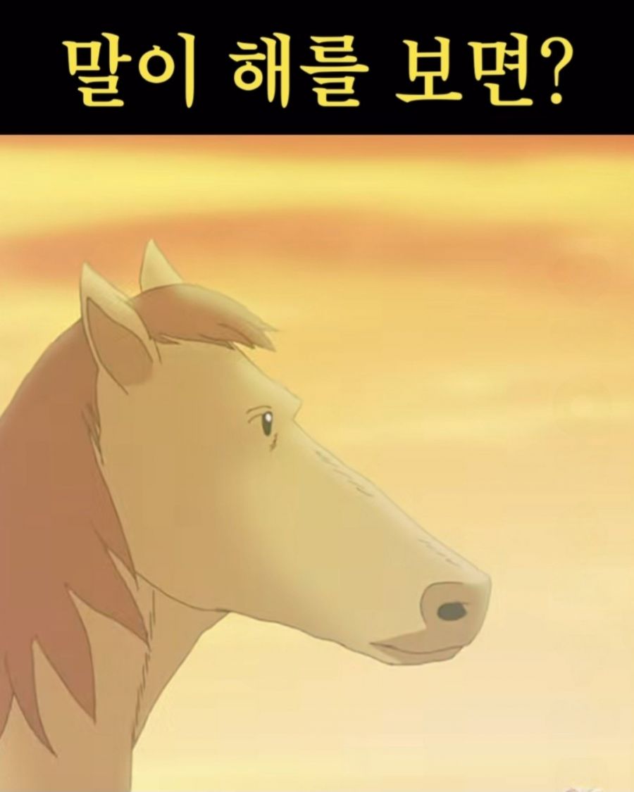 말이 해를 보면? | 인스티즈