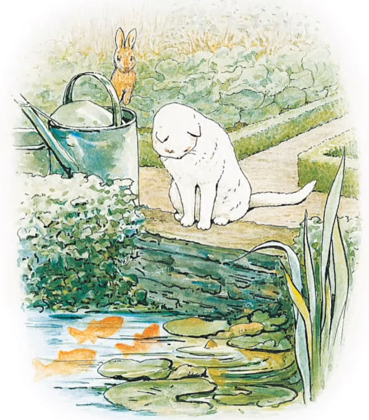 이런 느낌의 삽화가 좋아 | 인스티즈