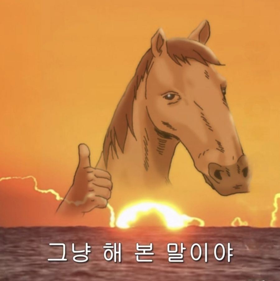 말이 해를 보면? | 인스티즈