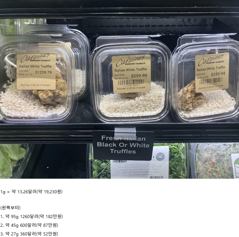 이탈리아산 화이트 트러플 가격 | 인스티즈