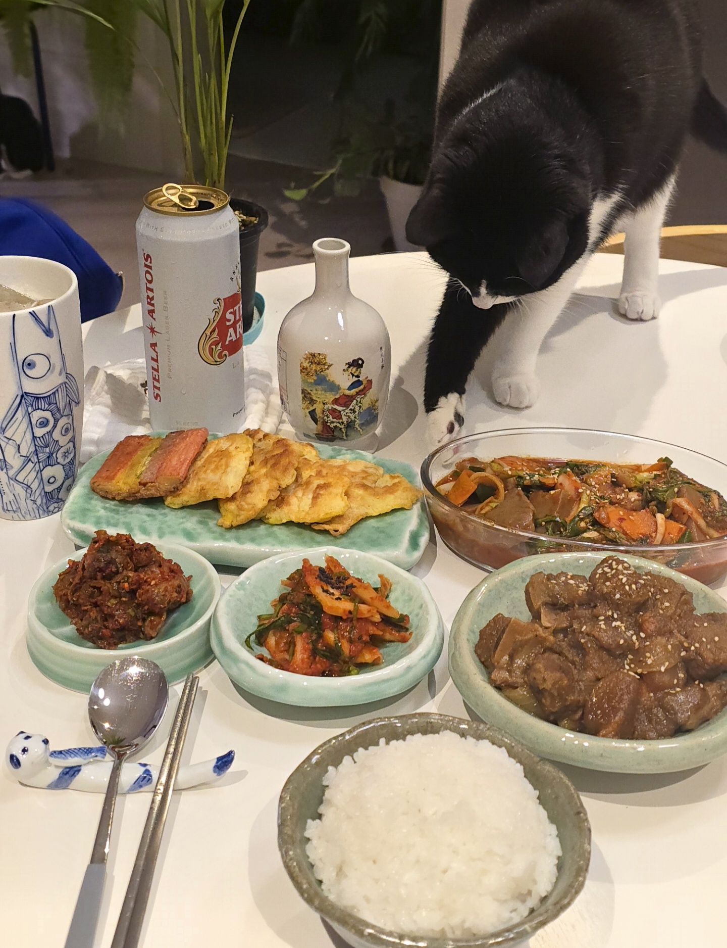 안주 뽏이는 고양이 어떤데 ㅋ 5나탄 ㅋ | 인스티즈