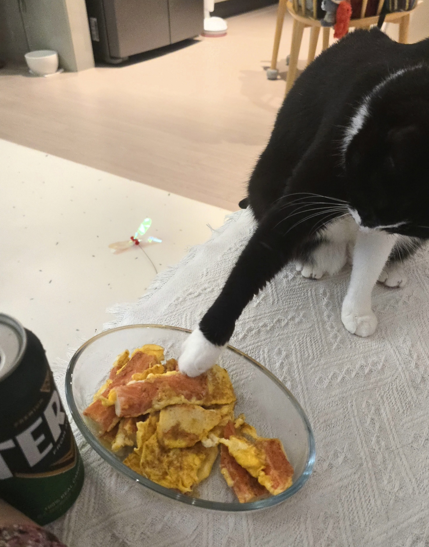 안주 뽏이는 고양이 어떤데 ㅋ 5나탄 ㅋ | 인스티즈