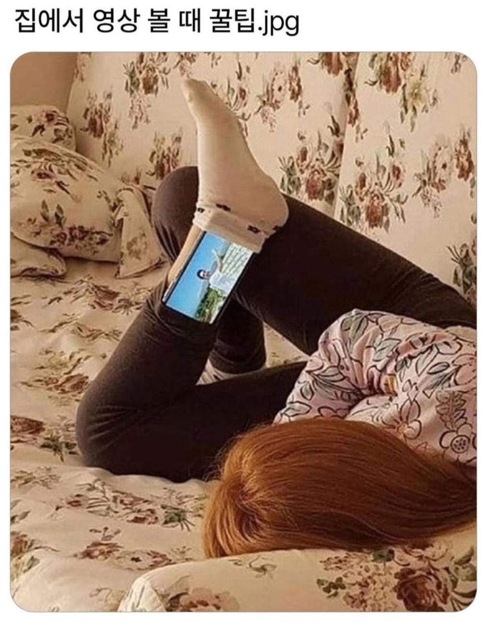 집에서 영상 볼 때 | 인스티즈