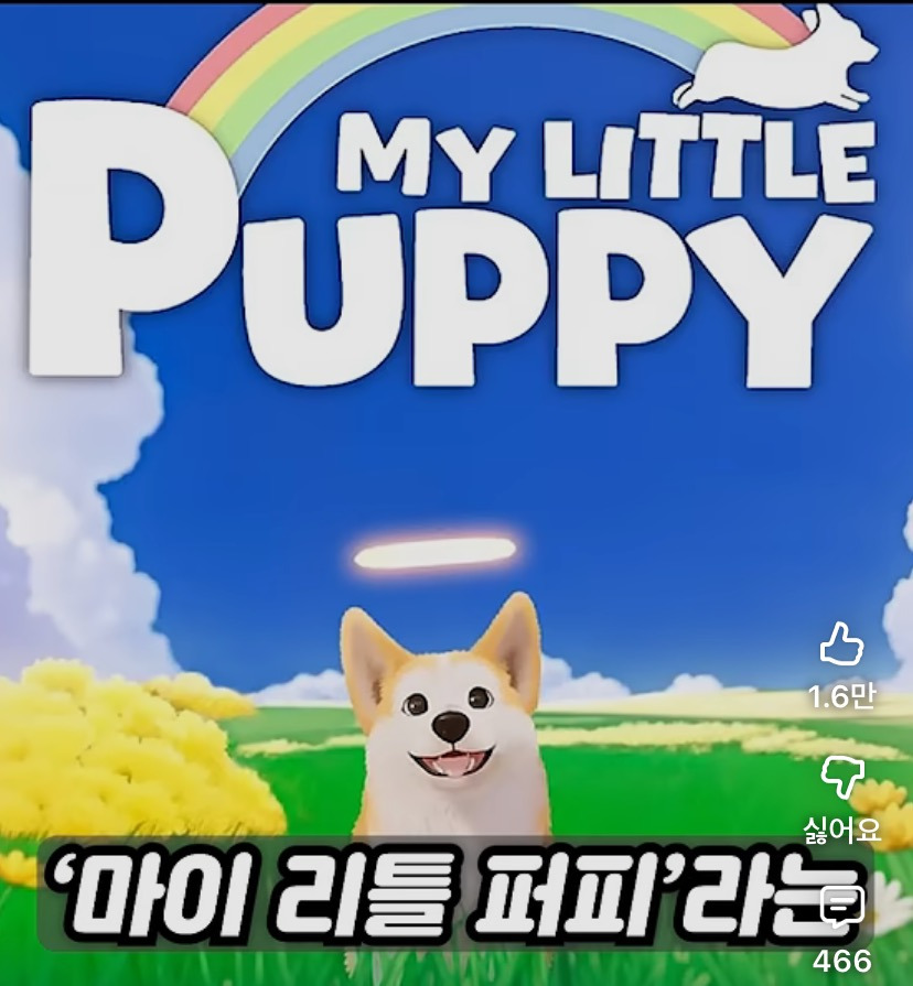 세계 애견인들을 울린 아름답고 애틋한 k-게임 | 인스티즈