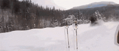 사슴이랑 싸워서 이기면 1억 | 인스티즈