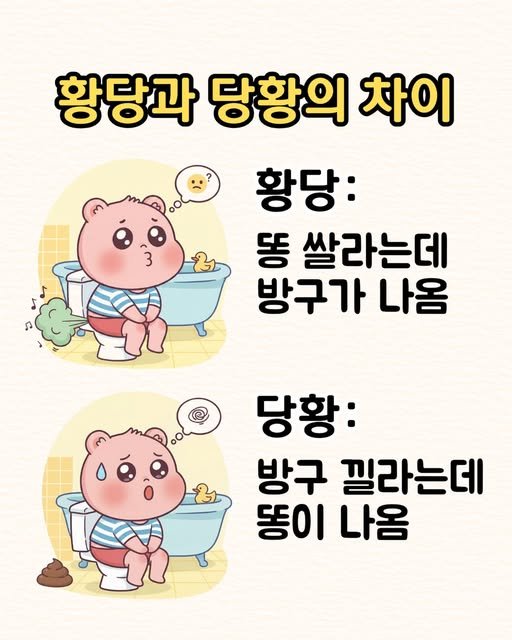 황당과 당황의 차이 | 인스티즈