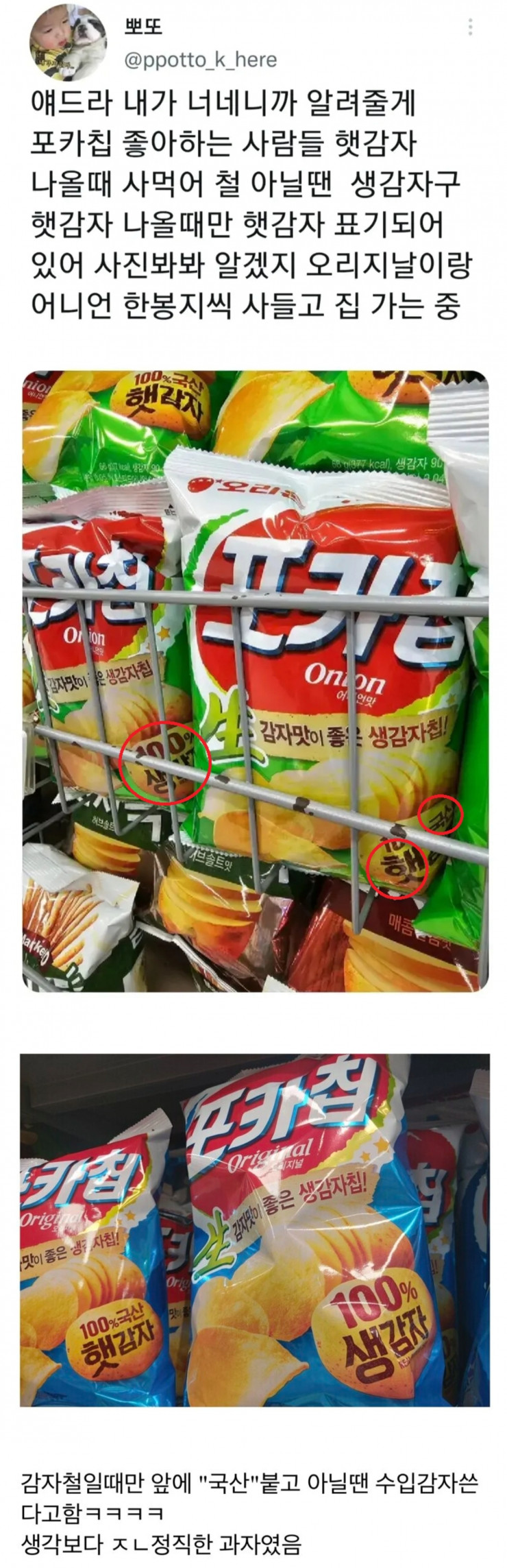 포카칩 좋아하는 사람들을 위한 팁 | 인스티즈