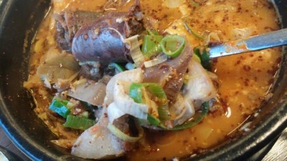 얼큰한 뻘건 국물 순대국밥 vs 시~원한 허연 국물 순대국밥 | 인스티즈