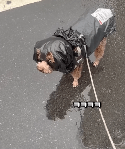 엄마가 돈이 없어 미안해 | 인스티즈