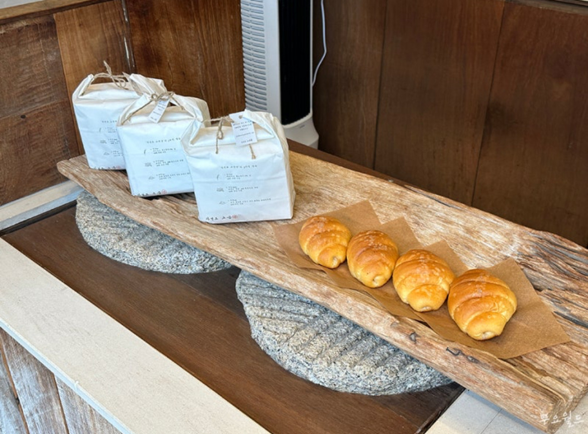 영종도에서 히트친 하루 7천개를 판매한 소금빵집 | 인스티즈