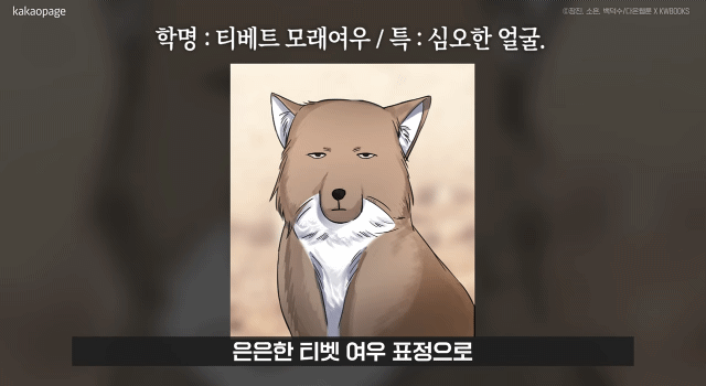 본격적인 k-pop아이돌물 애니 제작 확정 | 인스티즈