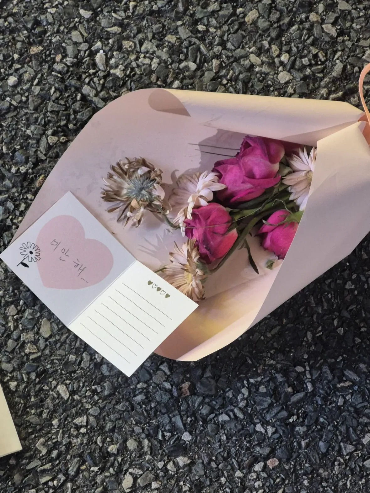 산책중 ..보게된 | 인스티즈