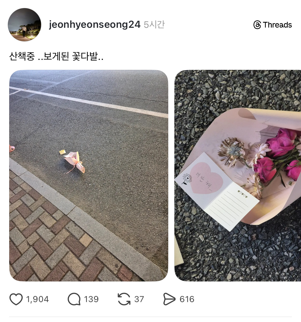 산책중 ..보게된 | 인스티즈