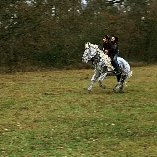 꿈과 현실의 경계 수면의 과학(The Science of Sleep) | 인스티즈