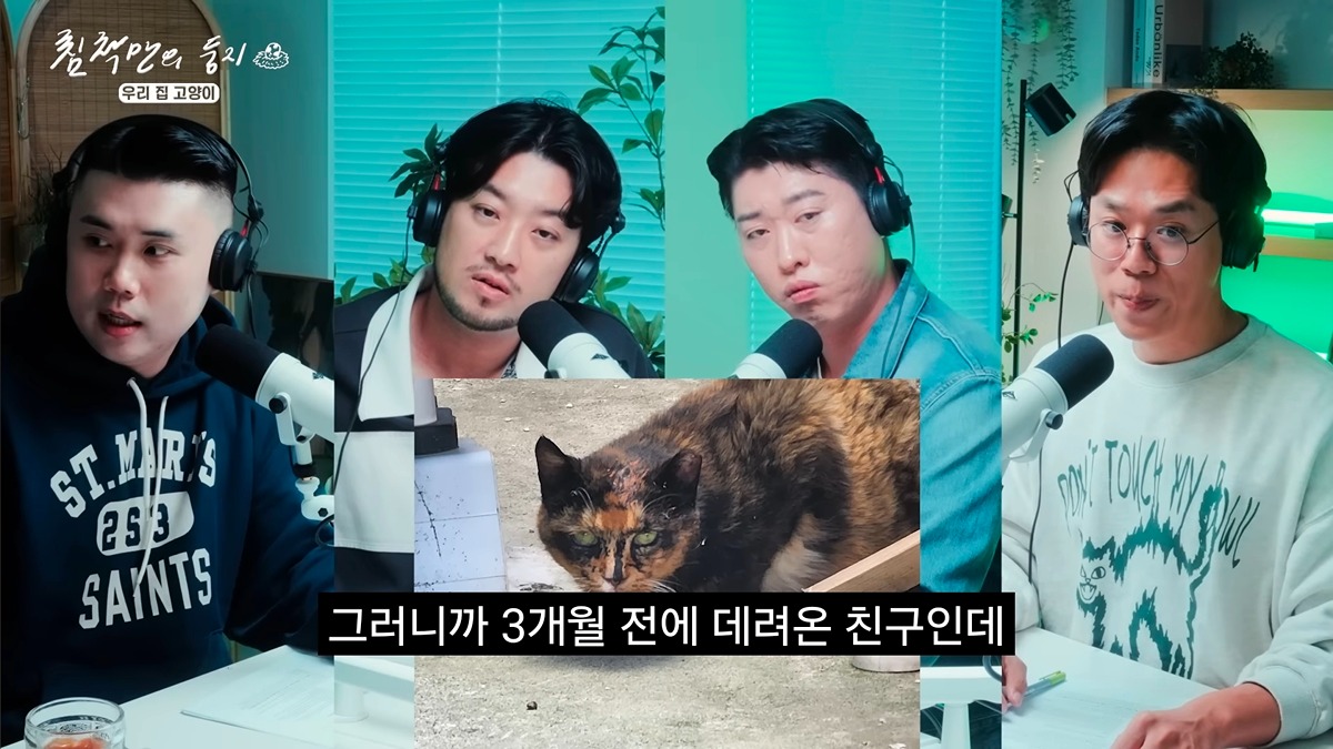 유기묘 보호소에 간식+사료 기부한 나폴리 맛피아 | 인스티즈