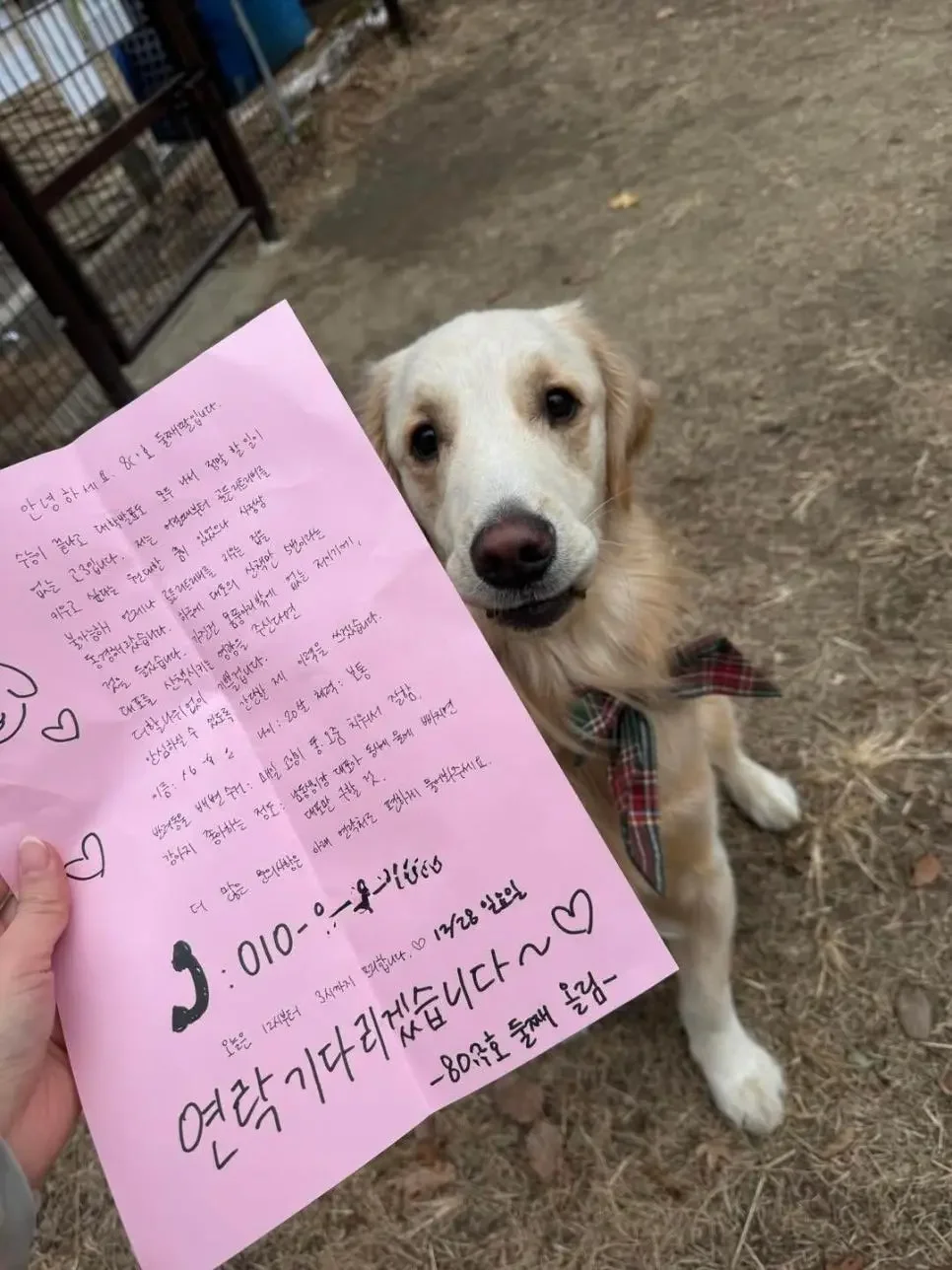 옆집 둘째 딸의 이력서 | 인스티즈