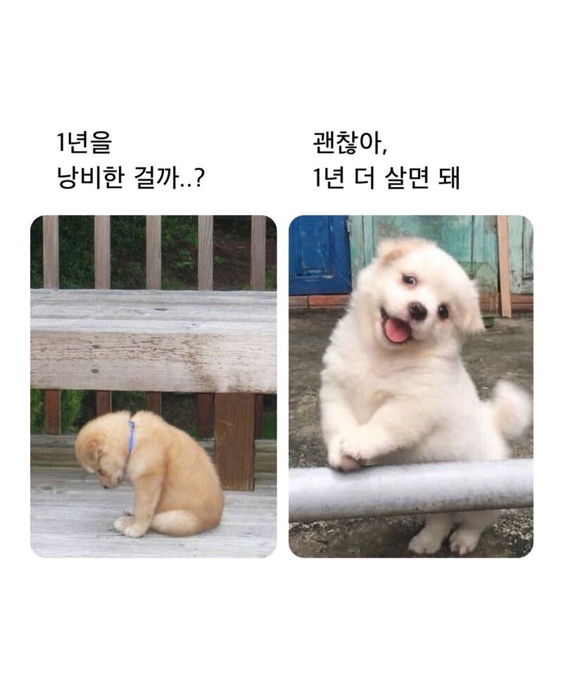 1년을 낭비한 걸까? | 인스티즈