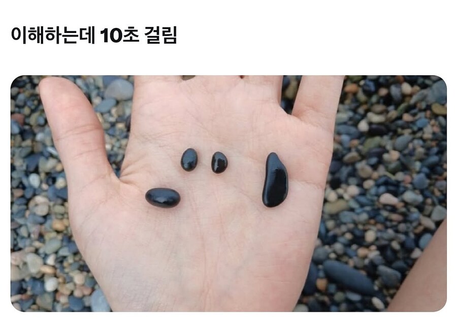 당신은 이 사진을 이해할 수 있습니까? | 인스티즈