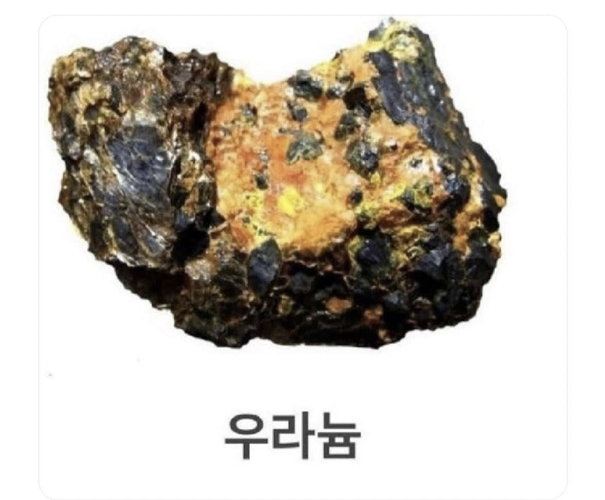 의외로 한입만 먹어도 다이어트 실패 하는것 | 인스티즈