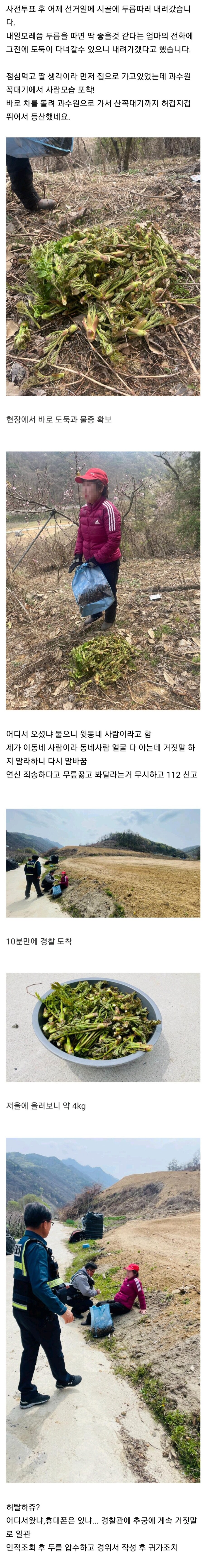 현장에서 두릅도둑을 잡았습니다 | 인스티즈