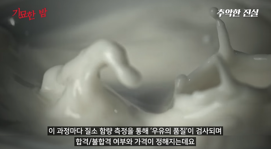 자국에서 생산된 분유는 안먹는다는 중국 | 인스티즈