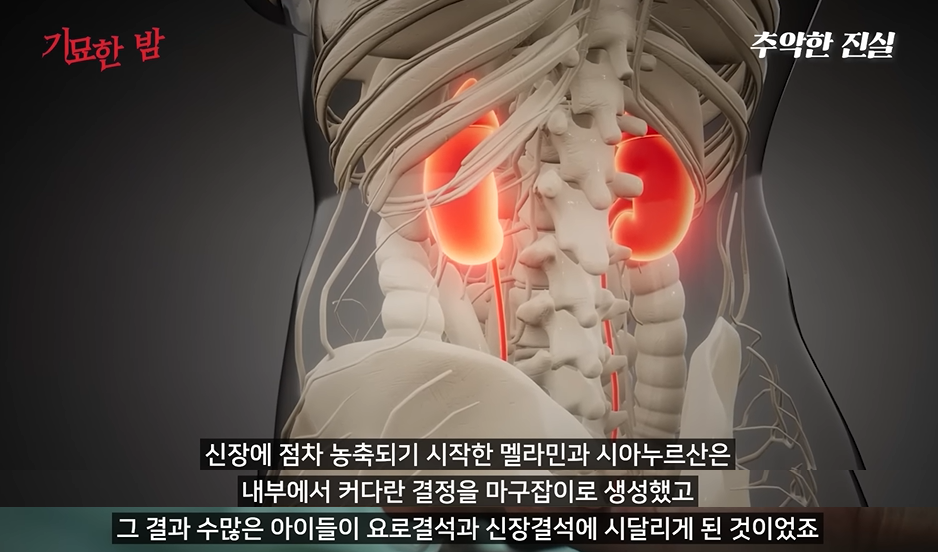 자국에서 생산된 분유는 안먹는다는 중국 | 인스티즈