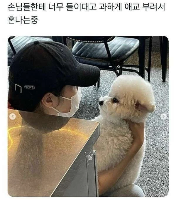 손님한테 들이대서 혼나는 알바생 | 인스티즈