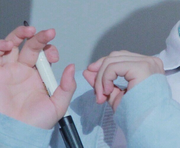 많은 사람들이 몰랐겠지만 방탄소년단엔 불가사리가 함께 살고있음 | 인스티즈