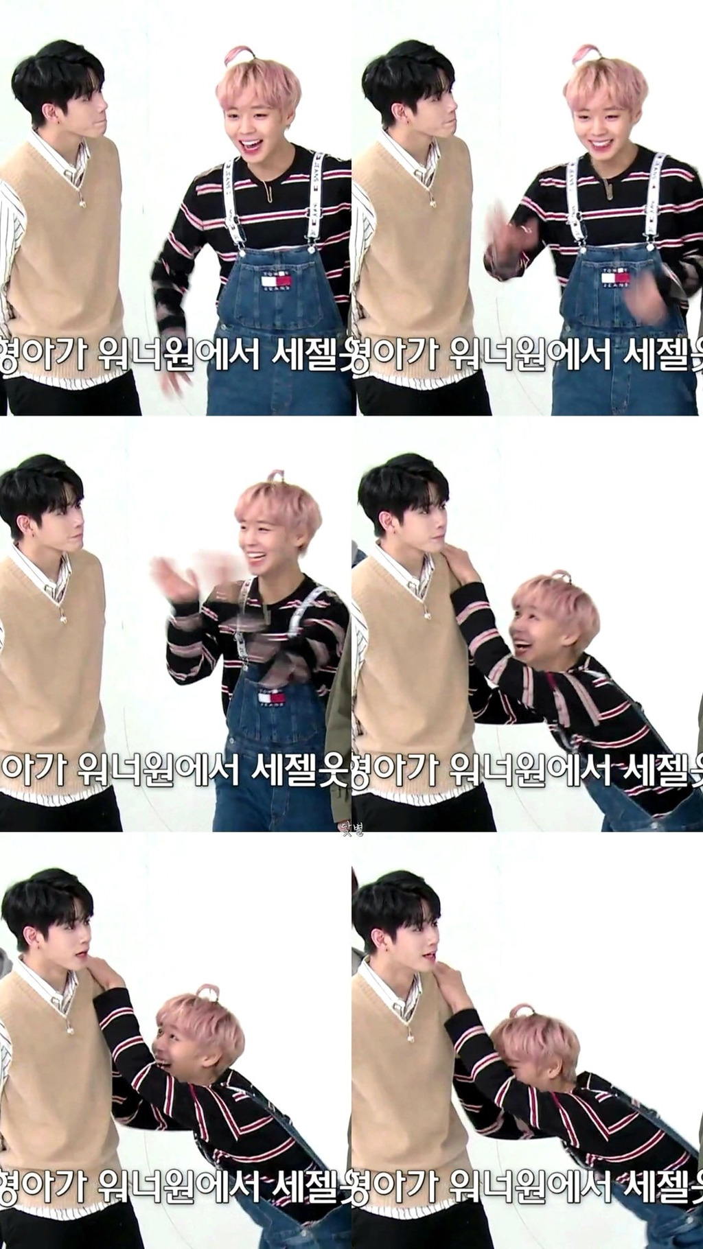 박지훈 이짤 ㄹㅇ 귀엽다 사랑스럽다 (feat. 웃긴 옹성우) | 인스티즈