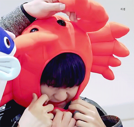 진짜 얘는 햄찌상이 아니고 찐햄찌야 | 인스티즈