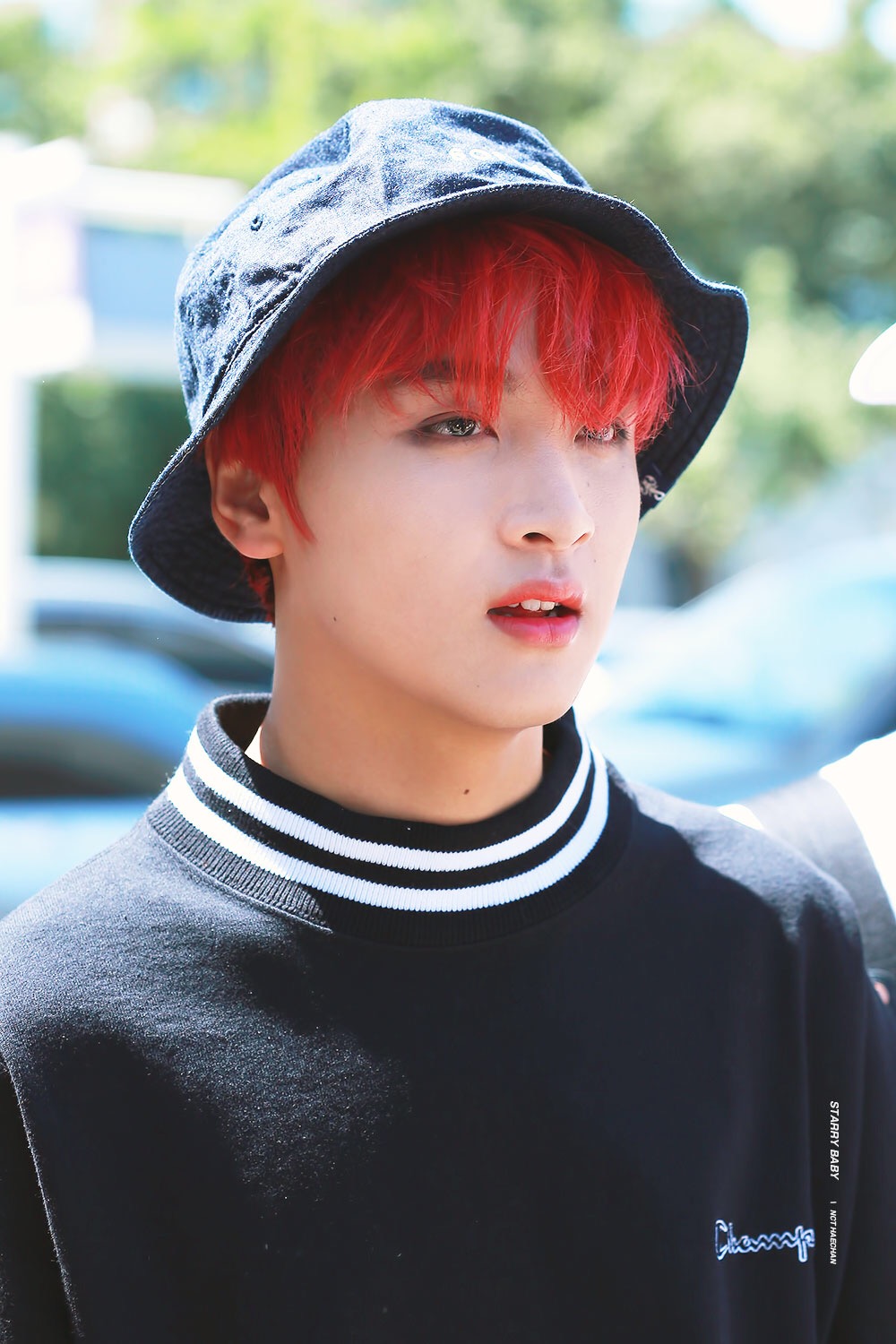 ㄹㅊ 5장 내 최애는? | 인스티즈