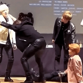 ㄱ 방페스에는 가완삼? ㄴㄴ 가완치가 있다 | 인스티즈