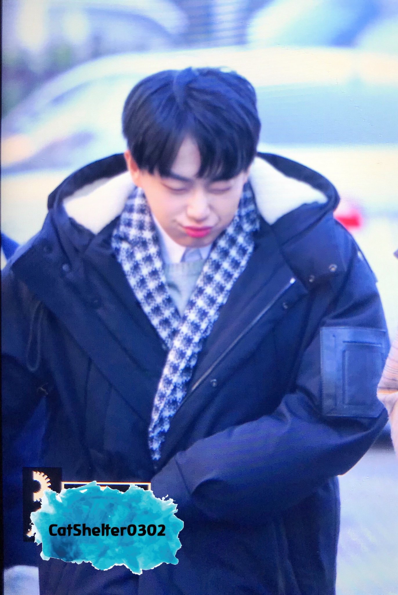 내가 본 고양이 중 가장 하찮음 | 인스티즈