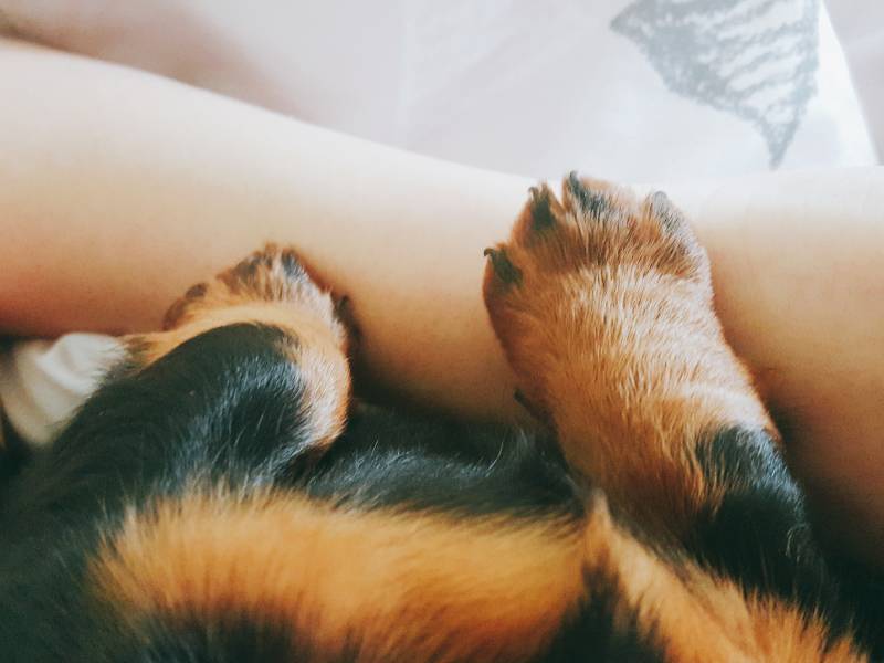 ?세상 사람들 우리 애 좀 보고 가세요!? | 인스티즈