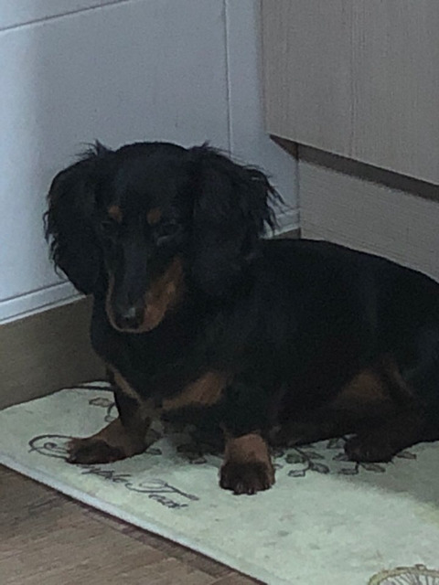 ?세상 사람들 우리 애 좀 보고 가세요!? | 인스티즈