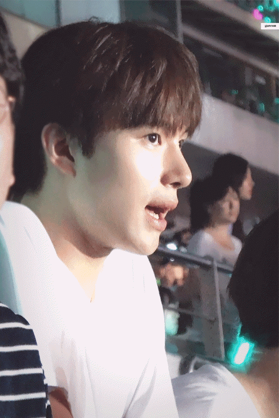 나도 ㄹㅊ 최애 나오면 잘래 | 인스티즈