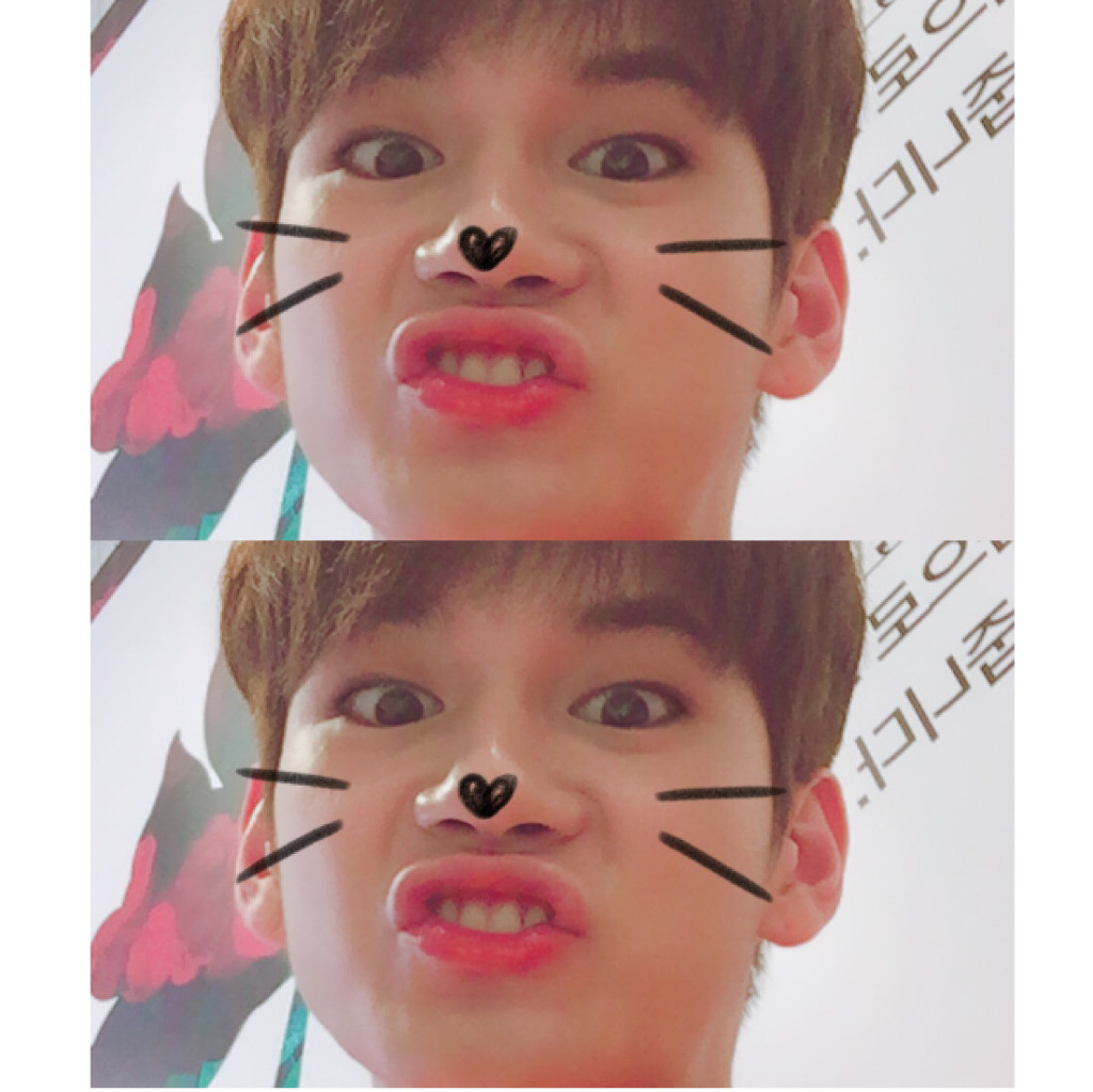 카톡 프사 바꾸듯이 바꾸는 옹성우 공카 프사 모음 ㅠ_ㅠ | 인스티즈