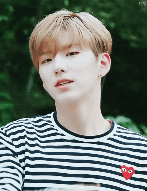 다들 유기현 아이돌력 알아줬으면 좋겠다........, | 인스티즈