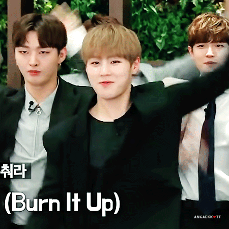 하성운 활활 추는데 음방이랑 예능이랑 온도차 다른 거 봐 | 인스티즈