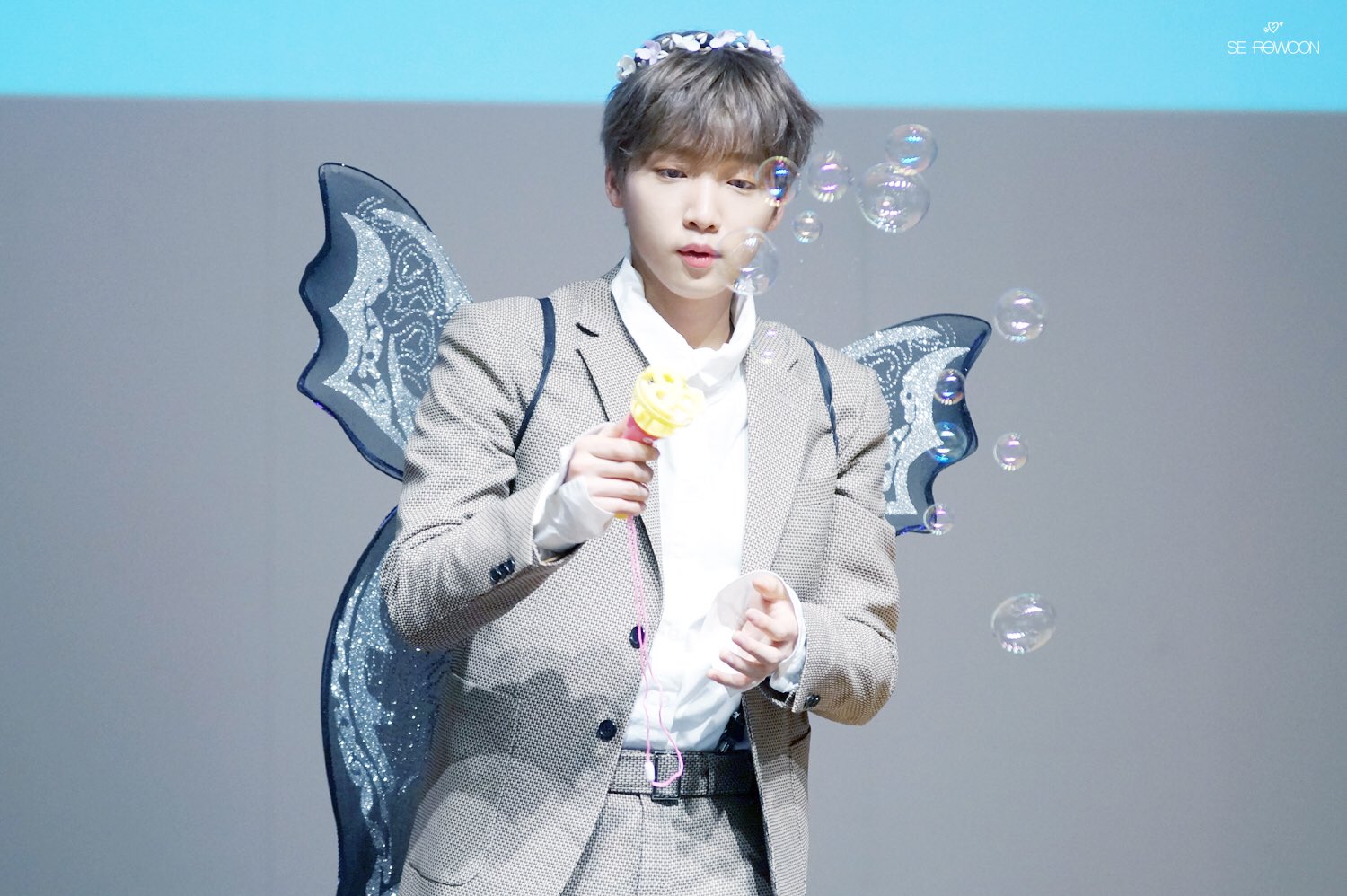 정세운 이사진 요정, 아니 포브리엘 | 인스티즈