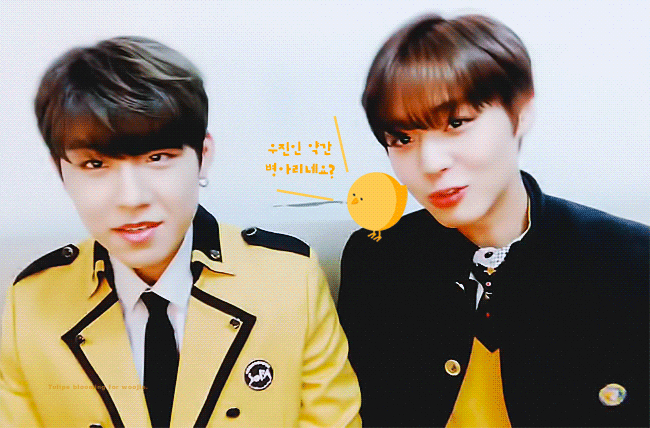 ㄱ 박지훈 눈빛이 다하는 윙참 | 인스티즈