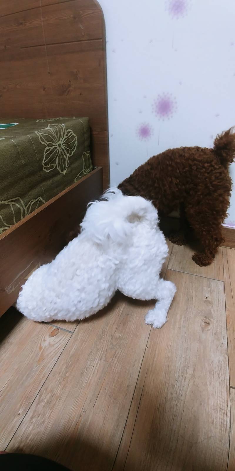 엉덩이가 하늘 위로 치솟는다....! | 인스티즈