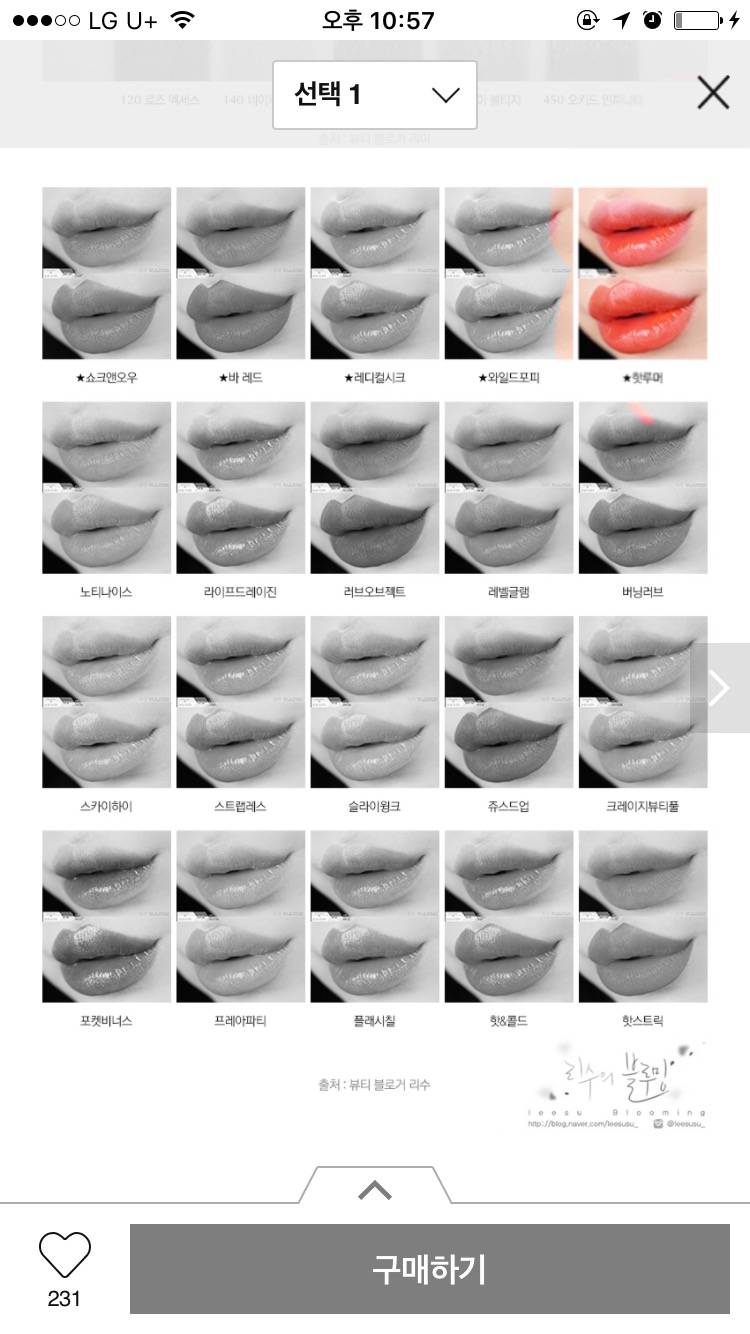 할인 중??웜톤 착붙 예쁜 립스틱 팔아용 맥 베네피트 에스티로더 샤넬 | 인스티즈