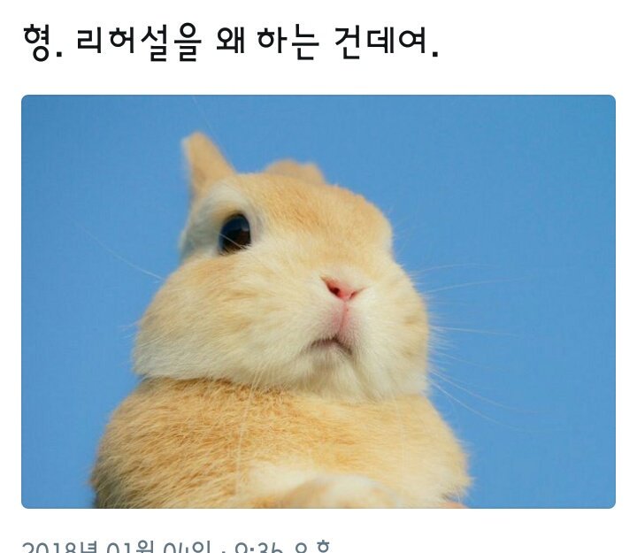 보면 절대 후회 안 할 방탄 제목 학원ㅋㅋㅋㅋ(데이터주의) | 인스티즈